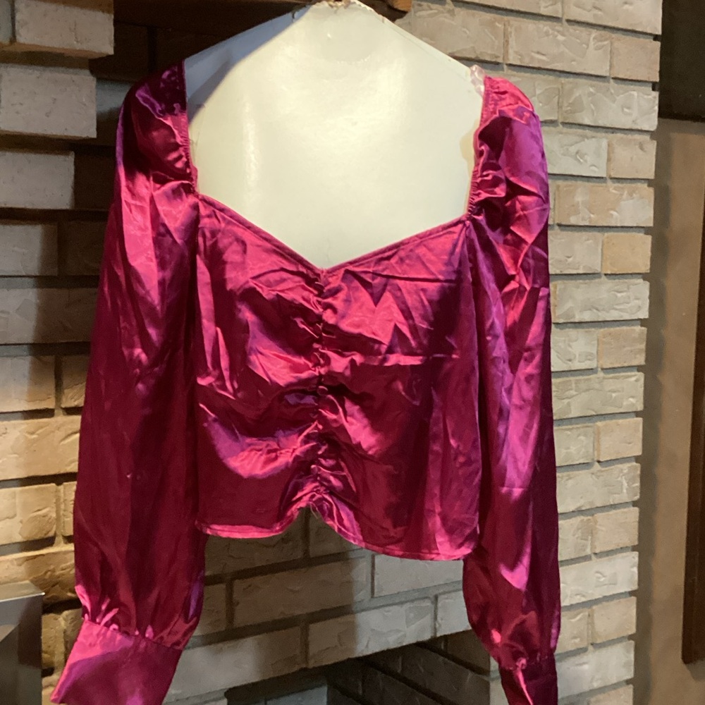 Birch & Stone Satin Pink Long Sleeve crop top Blouse